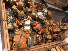 -新发展亚太JW万豪酒店·福苑咖啡厅