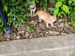 -终南山南五台景区