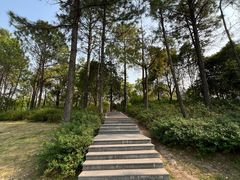 -美兰湖景区