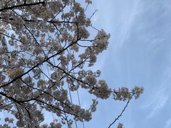 -永乐路-路侧停车场