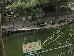 -广东茂名森林公园