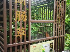 -广州神农草堂中医药博物馆