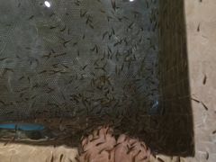 -中家鑫园温泉酒店鑫悦汤泉