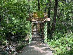 -大岭沟猕猴桃谷风景区
