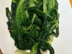 -青禾小厨新疆菜(总店)