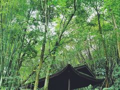 -峨眉山报国寺