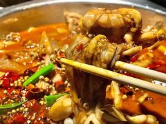 -宽口美蛙鱼头(大唐西市店)