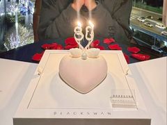 -BLACKSWAN黑天鹅(环球店)