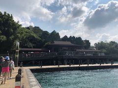 -金盆阿嬷香菇茶叶蛋(玄光店)
