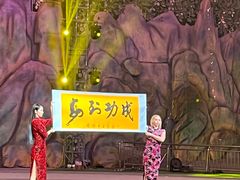 -灵玲国际马戏城