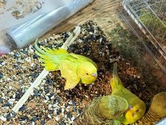 -济南高新万达广场