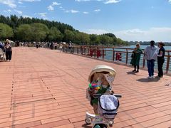 -丁香湖公园