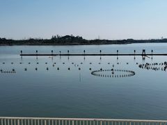 -卤阳湖国家湿地公园