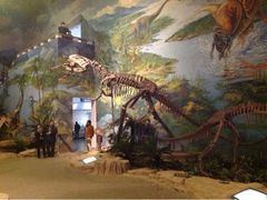 -自贡恐龙博物馆