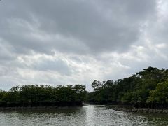 -东寨港红树林旅游区