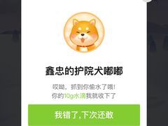 花雕鸡-金唐海鲜酒家
