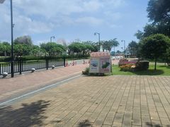 -野狸岛