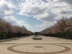 -吉林大学(前卫南区)