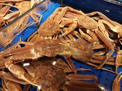 -高佳庄·舟山海鲜(海景旗舰店)