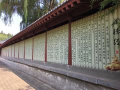 -函谷关历史文化旅游区