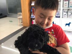 -爱侣宠医·鹦鹉专科·小型哺乳类·异宠专科(灵石路店)