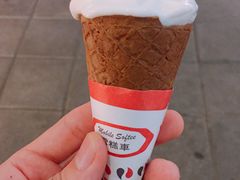 -富豪雪糕车流动点(尖沙咀店)