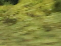 -艾溪湖湿地公园