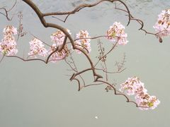-红星桥(地铁站)