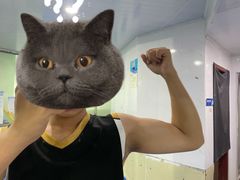 -波士顿游泳健身会所(定福庄店)