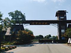 -泗洪洪泽湖湿地景区