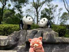 -都江堰中华大熊猫苑