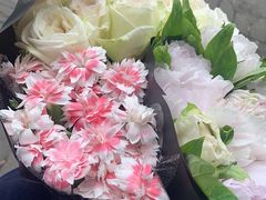 -双季花艺园艺市场(浦东店)
