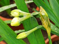 -共青国家森林公园-售票处