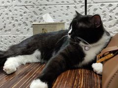 -么么咖啡(燕郊店)