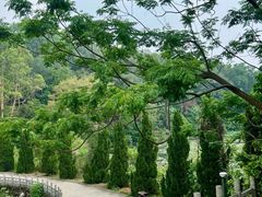 -三水森林公园