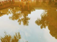 -碑林公园