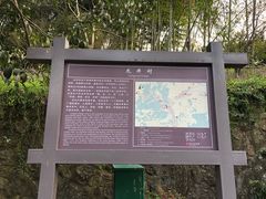 -龙井村