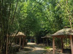 -牛鱼嘴原始生态风景区