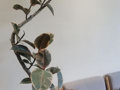 -福驎咖啡FURNING CAFE(固戍华丰店)