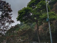 -梧桐山风景名胜区