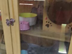 -203密室体验馆·逃脱·聚会·亲子(工体店)
