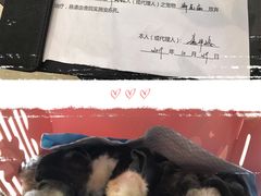 -雨林宠物医院 非犬猫异宠专科