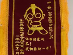 -特一安24小时宠物医院·骨科·中兽医