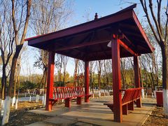 -东郊湿地公园