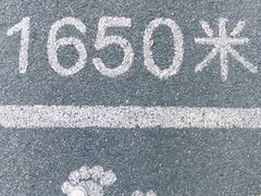 -上海吴淞炮台湾国家湿地公园