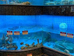 -协成海鲜火锅(情侣路店)