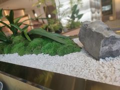 -马家斑.鲜鱼火锅(松湖万科店)