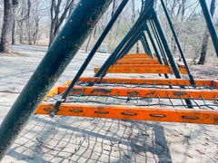 -沈阳植物园