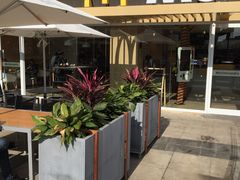 -麦当劳(塔园路店)