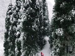 景点-九峰山